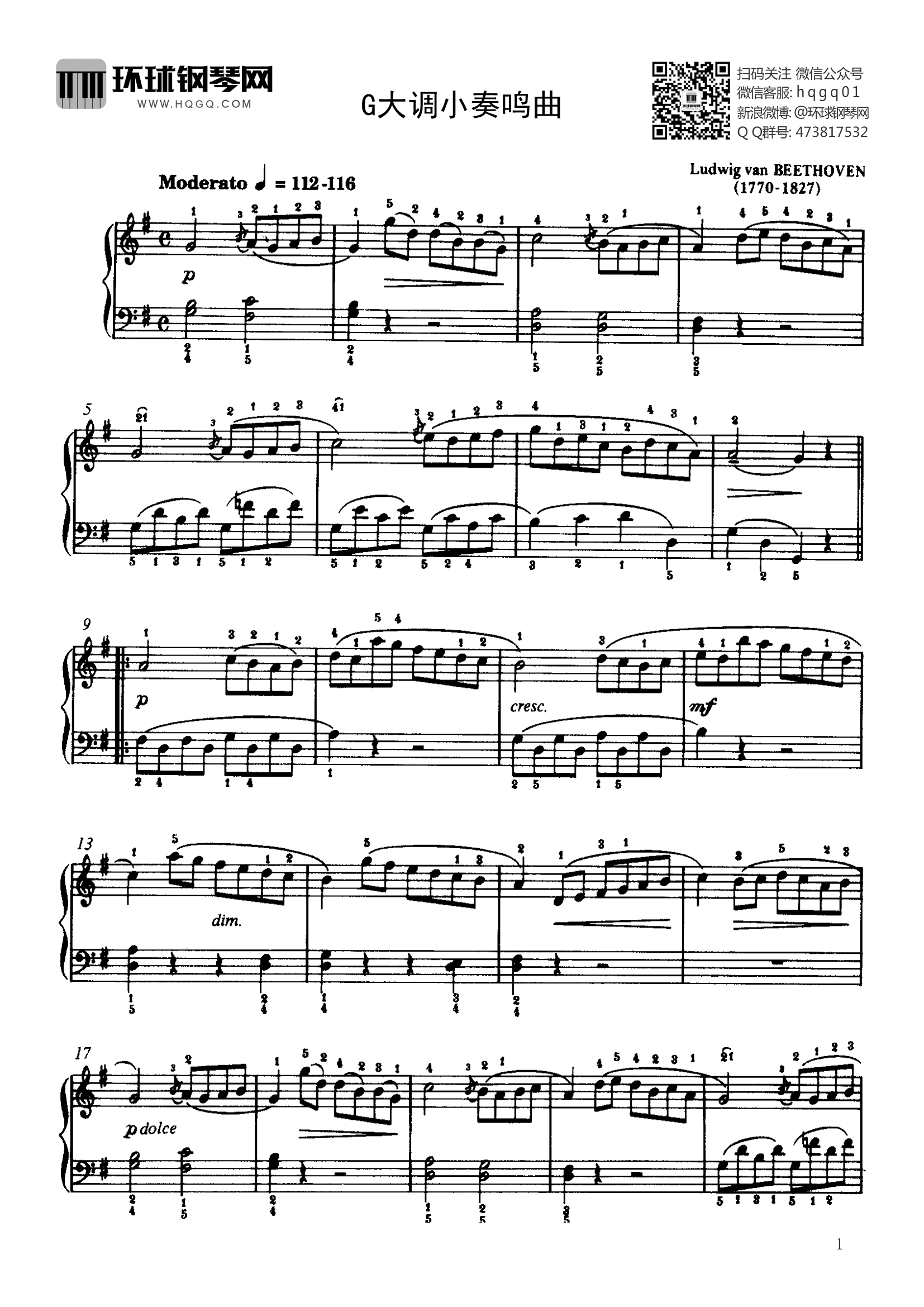 贝多芬小奏鸣曲钢基1图片